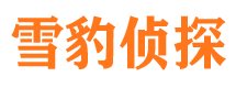 龙江侦探公司